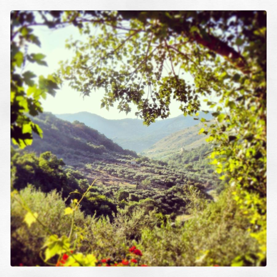 Agriturismo Al Poggetto Piana Degli Albanesi Exterior photo